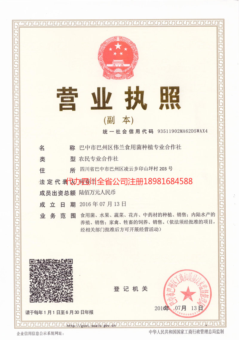 白城白城伟兰食用菌种植专业合作社